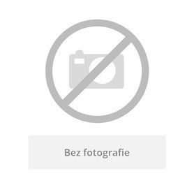 Dveře náhradní pro 39168 MAGNA